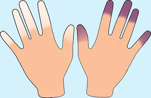 图片-10.jpg 图片-10.jpg