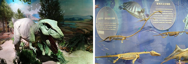 图片26.jpg 图片26.jpg