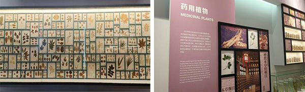 图片28.jpg 图片28.jpg