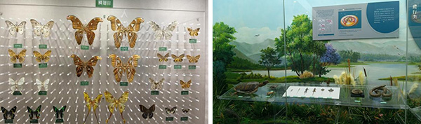 图片32.jpg 图片32.jpg