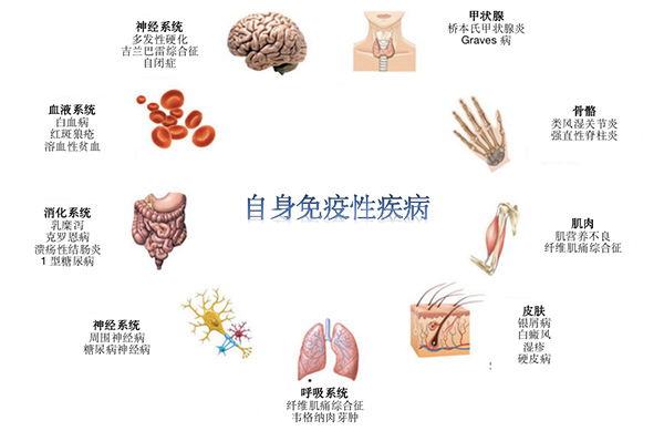 图片9.jpg