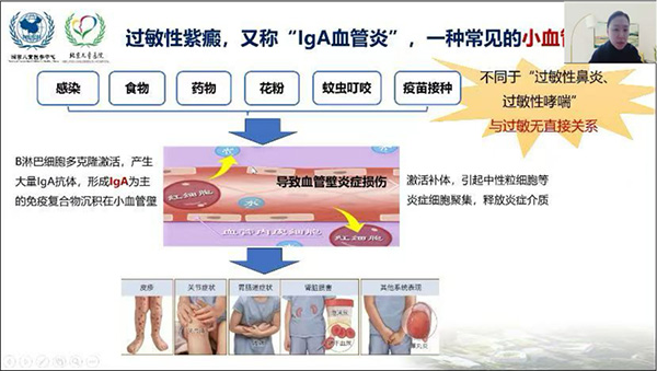 图片61.jpg 图片61.jpg