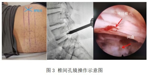 图片 3.jpg 图片 3.jpg