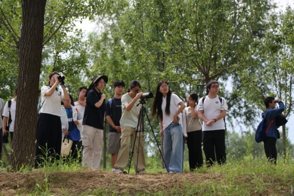 图片14.jpg 图片14.jpg