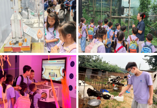 图片18.jpg 图片18.jpg