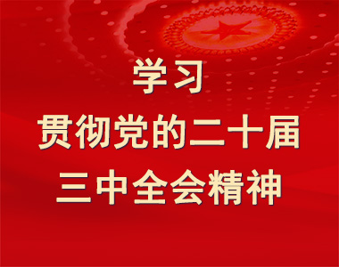 学习贯彻党的二十届三中全会精神